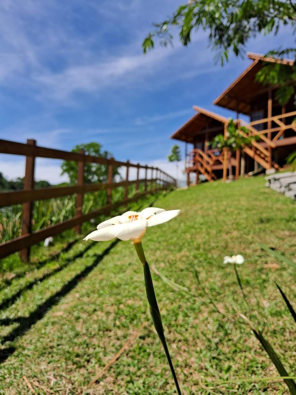 Pousada Hoff Haus Pomerode Bagian luar foto